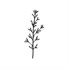 Fototapeta premium A timeless and elegant vector illustration of a rosemary silhouette in classic black and white, employing a modern flat design aesthetic. The two-dimensional shape is set against a white background