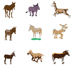 Vector ass,vector Colour Ass