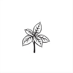 Modern flat design, classic black and white vector silhouette of basil leaves on a white background.  Simple, two-dimensional shapes create a timeless and elegant image