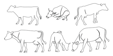 vector illustration of a icon in different poses