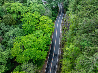 aerial view of the road in the forest