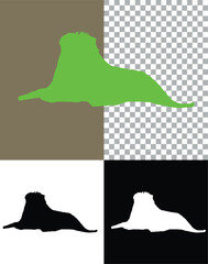 Lion King, Silhouette, Drawing, White black lion