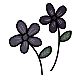 vector flowers hand drawing illustration