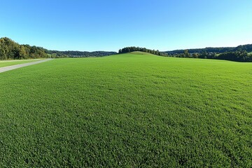 Obraz premium Expansive green field stretching towards a distant hill.