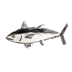Detailed Drawing of Albacore Tuna Illustrating Unique Features and Textures in a Creative Artistic Style