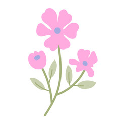 coquette pink Floral Groupings