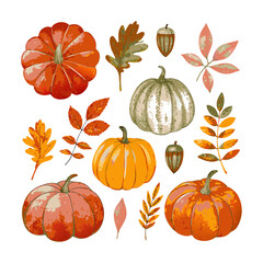autumn watercolor set -wood leaves, nature elements, mushrooms, pumpkins, apples