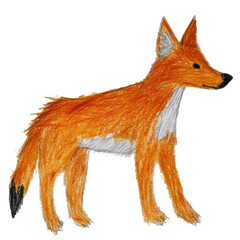 Obraz premium Vibrant 2D Drawing of a Dhole in Bold Colors with Simplistic Design