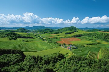 Obraz premium Expansive countryside panorama of rolling hills and vibrant farmland.