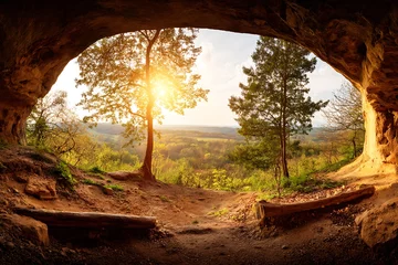 Fototapete Rund Cave entrance to a forest landscape © seh