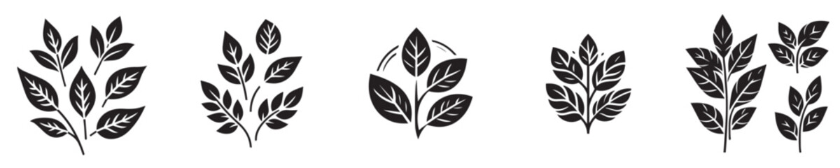 vector set of silhouette leaves