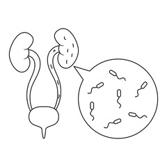 Urinary Tract Infection