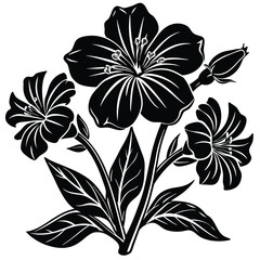 Adobe IllustratoHand Drawn Ink Doodle Of A Flower On A Transparent Backgroundr Artwork