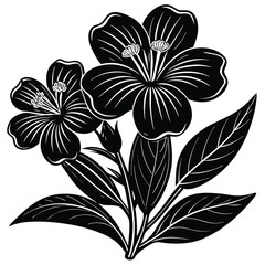 Adobe IllustratoHand Drawn Ink Doodle Of A Flower On A Transparent Backgroundr Artwork