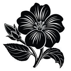 Adobe IllustratoHand Drawn Ink Doodle Of A Flower On A Transparent Backgroundr Artwork