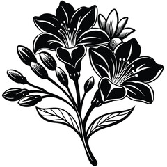 Adobe Illustrator Beautiful pink flower on black background with reflectionArtwork