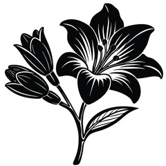 Adobe Illustrator Beautiful pink flower on black background with reflectionArtwork