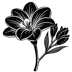 Adobe Illustrator Beautiful pink flower on black background with reflectionArtwork