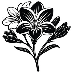 Adobe Illustrator Beautiful pink flower on black background with reflectionArtwork