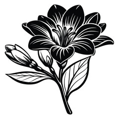 Adobe Illustrator Beautiful pink flower on black background with reflectionArtwork