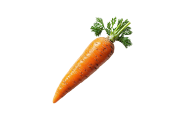 Short plump carrot with leafy green top, tilted sideways, earthy surface details, natural lighting, isolated on a transparent background