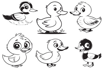 Funny cartoon ducks and birds in a cute animal illustration set