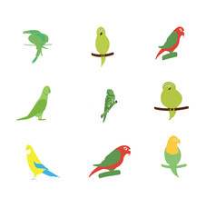 Fototapeta premium The is Parrots
