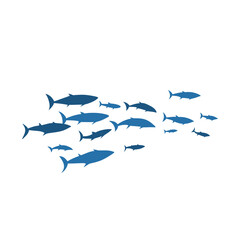 Schools of fish vector illustration 
