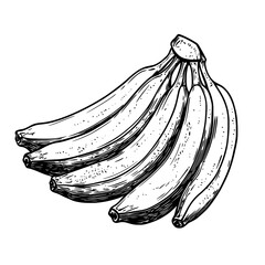 Bunch of bananas in shaded ink style with dotted texture and organic curvature