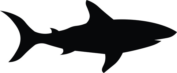 shark vector illustration