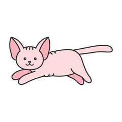 Cute sphynx cat
