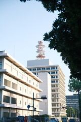 A Classic Example of Japanese Architecture