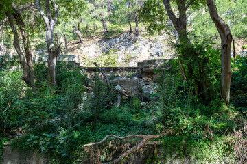 A resort town on the Black Sea coast. Sunny autumn morning. View from below on a mountain road. Everything around is buried in tropical greenery