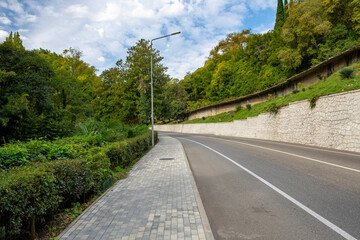 A wide paved road cuts through dense thickets of tropical trees, the branches of which reach out to the winding highway.