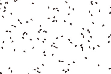 Black sesame seeds isolated on white background
