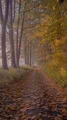 Obraz premium Misty Fall Landscape – Pathway of Leaves and Light