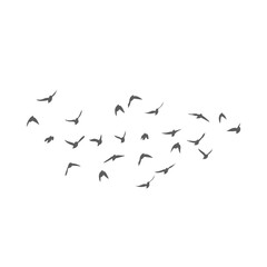 Flying birds silhouettes. Vector illustration 