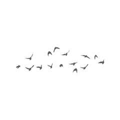 Flying birds silhouettes. Vector illustration 