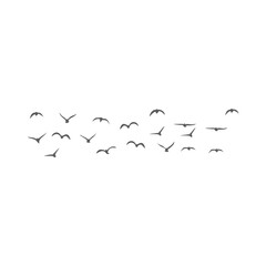 Flying birds silhouettes. Vector illustration 