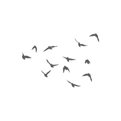 Flying birds silhouettes. Vector illustration 