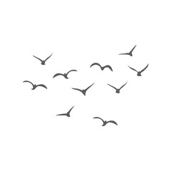 Flying birds silhouettes. Vector illustration 