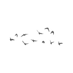 Flying birds silhouettes. Vector illustration 