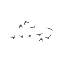 Flying birds silhouettes. Vector illustration 