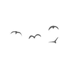 Flying birds silhouettes. Vector illustration 