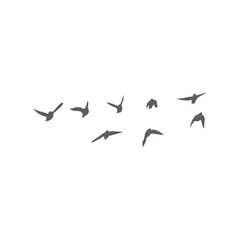 Flying birds silhouettes. Vector illustration 