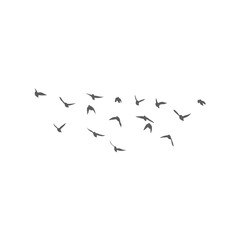 Flying birds silhouettes. Vector illustration 