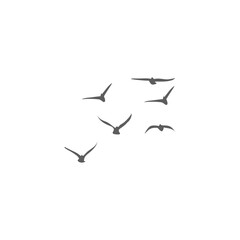 Flying birds silhouettes. Vector illustration 