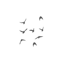Flying birds silhouettes. Vector illustration 