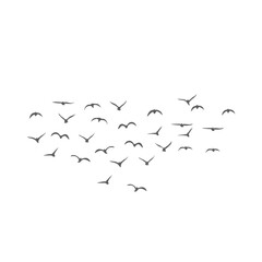 Flying birds silhouettes. Vector illustration 