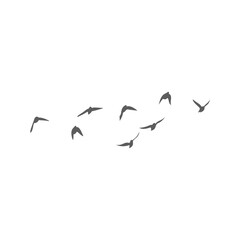 Flying birds silhouettes. Vector illustration 